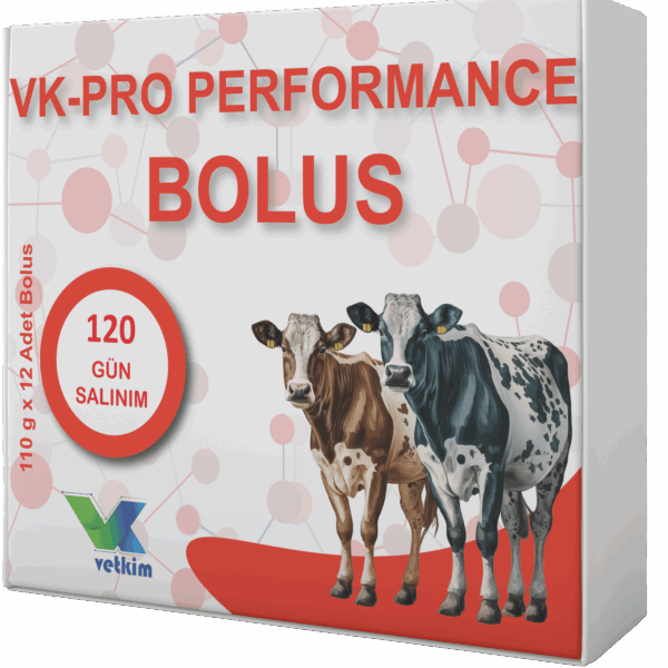 BÜYÜKBAŞ BOLUS PERFORMENCE (BOLUS 12  AD)
