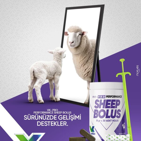 KOYUN KEÇİ İÇİN SHEEP (BOLUS 100 AD )