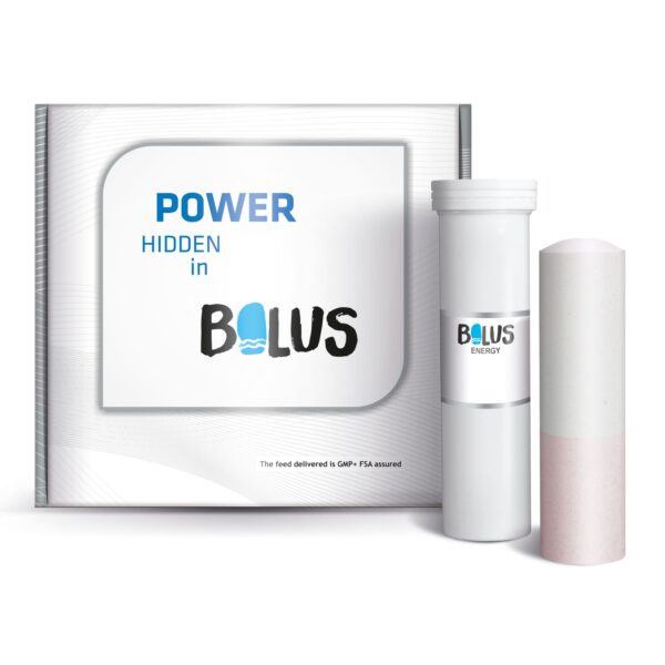 ENERGY BOLUS